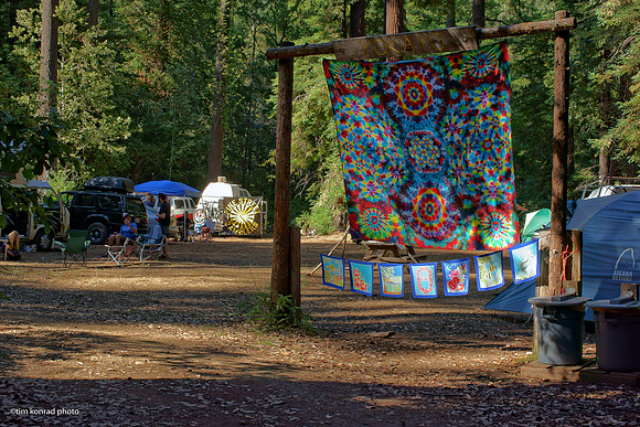 Redwood Ramble, 2015