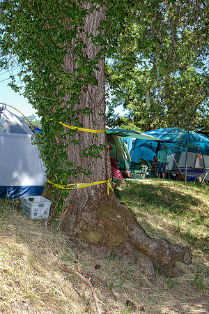 Kate Wolf Music Festival, 2011