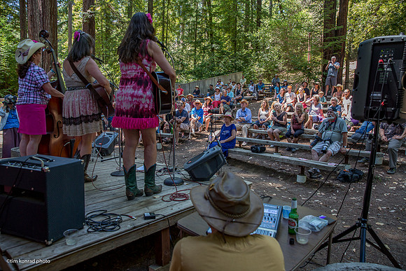 Redwood Ramble, 2015