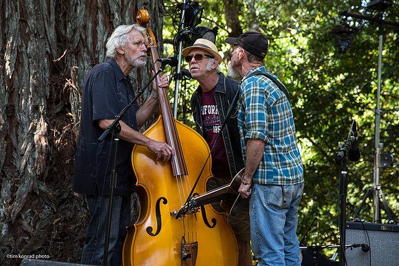 Redwood Ramble, 2015