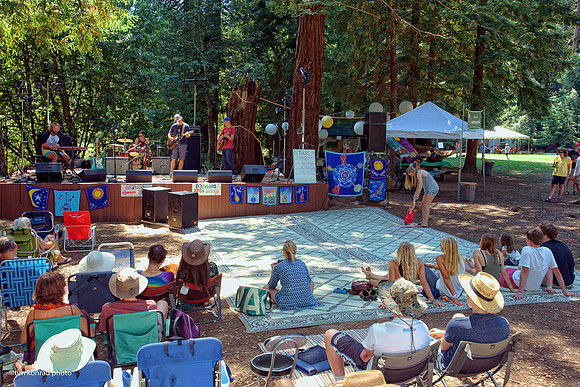 Redwood Ramble, 2015