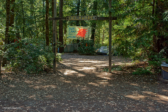 Redwood Ramble, 2015