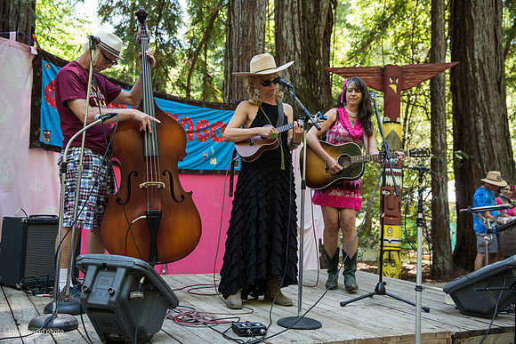 Redwood Ramble, 2015