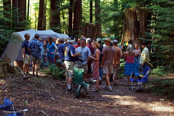 Redwood Ramble, 2015