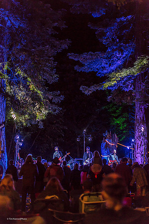 Redwood Ramble, Camp Navarro, 2015