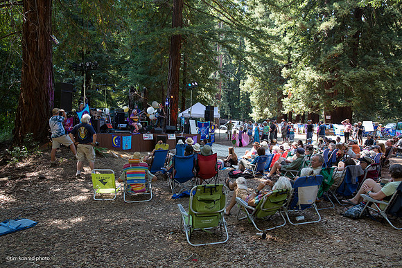 Redwood Ramble, 2015