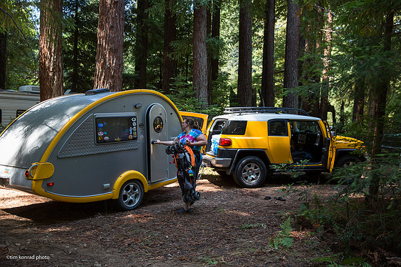 Redwood Ramble, 2015