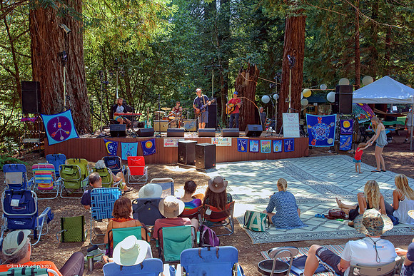Redwood Ramble, 2015